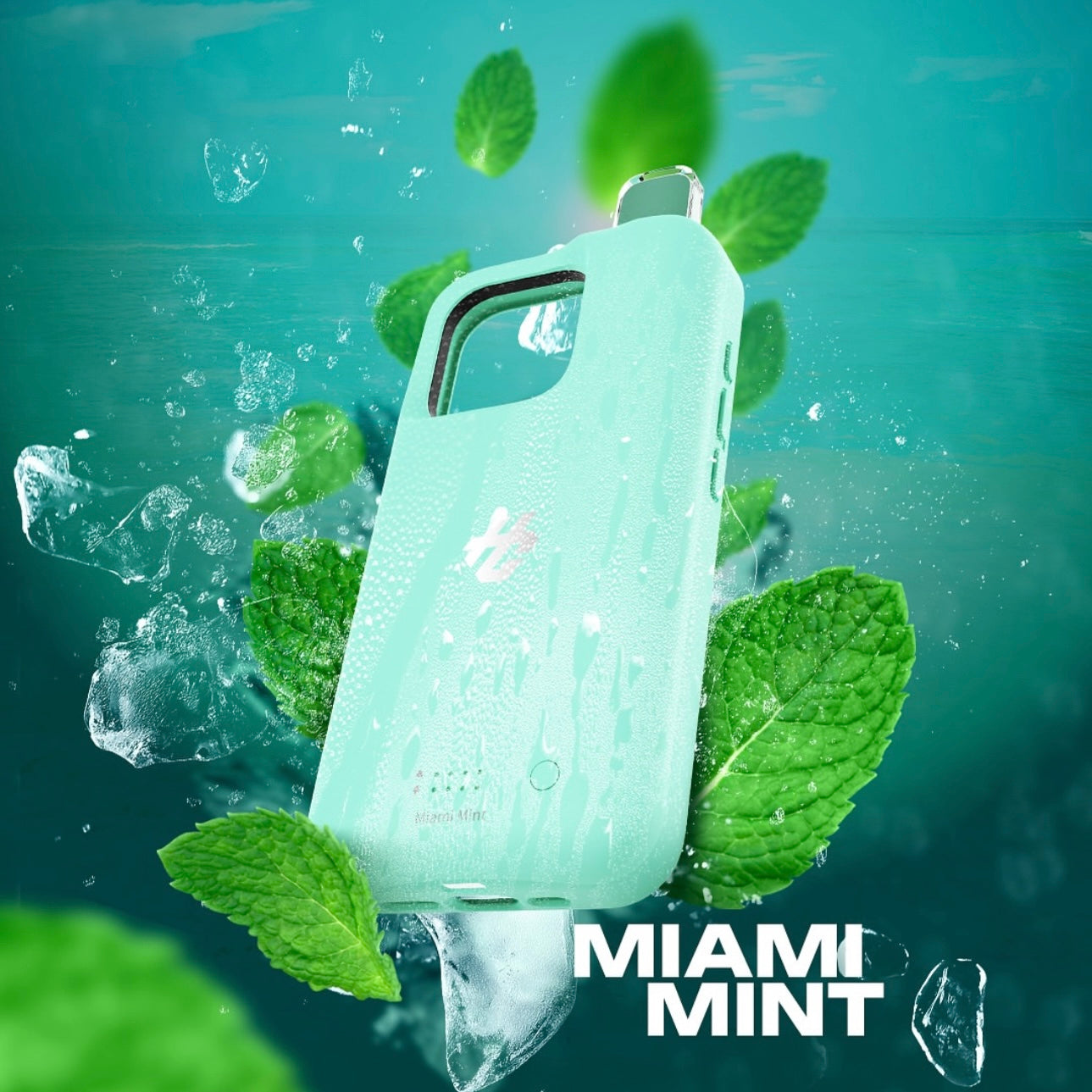 Coque 3 en 1 HisCase